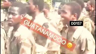 Miniature : Guatananoo animation