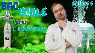 Miniature : EPISODE 5 ! Le CO2 et L' OXYGENATION ! BAC ECOLE [ ANI' MOOD ]