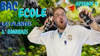 Miniature : EPISODE 4 ! L' ENGRAIS et LES PLANTES AQUATIQUES ! BAC ECOLE [ ANI' MOOD ]