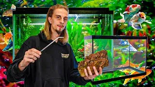 Miniature : Je réalise un AQUARIUM tropical, d'un volume de 120 LITRES ! [ ANI' MOOD ]