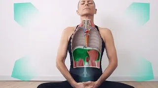 Miniature : Cohérence cardiaque 7 min | Niveau 2
