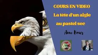 Miniature : EXTRAIT du cours en vidéo: La tête d'un l'aigle au pastel