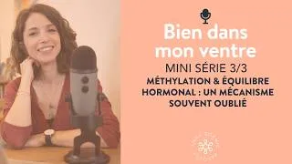 Miniature : Mini-série (3/3) - Méthylation & équilibre hormonal : un mécanisme souvent oublié