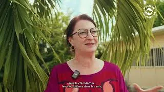 Miniature : Appel à projets conjoint "Chlordécone I", point d'étape à mi-parcours des projets soutenus par l'ANR