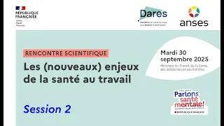Miniature : Session 2 - Les nouvelles organisations du travail