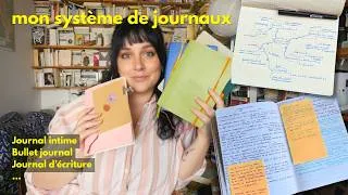 Miniature : Mes journaux et carnets - (pour ne pas devenir zinzin).
