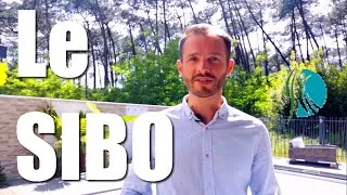 Miniature : Le SIBO - Anthony Micheau Naturopathe