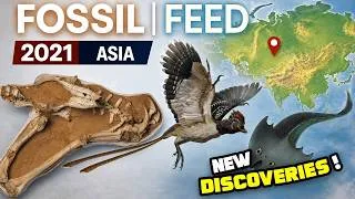 Miniature : NEW DISCOVERIES : 2021 Paleontology in Asia