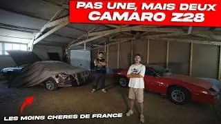 Miniature : JE VOUS CACHE CES VOITURES DEPUIS 2 ANS (quel idiot je suis)