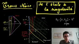 Miniature : Comment naissent les trous noirs : de l’effondrement stellaire aux singularités nues