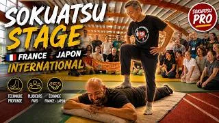 Miniature : Voici le meilleur massage qui vient du Japon ! (training Sokuatsu)