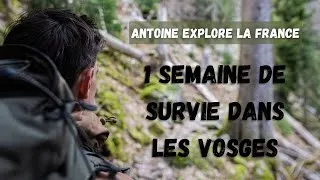 Miniature : Comment survivre une semaine dans les forêts Vosgiennes.