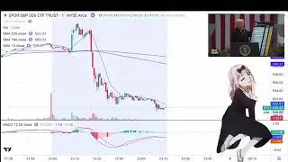 Miniature : Les marchés asiatiques en ce moment 