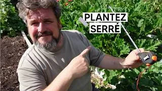 Miniature : Pourquoi je ne respecte pas les distances de plantation 🤫