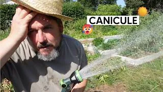 Miniature : Comment je sauve mon potager de la canicule 🥵