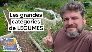 Miniature : Les grandes catégories de LEGUMES au potager【La formation Potager Coach - chap. 35】
