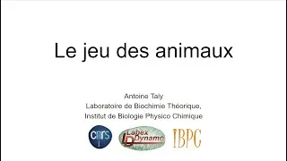 Miniature : Le Jeu des Animaux