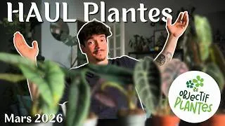 Miniature : J'achète des PLANTES après 2 ANS !! - HAUL plantes