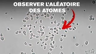Miniature : Le mouvement brownien expliqué en 8 min 14