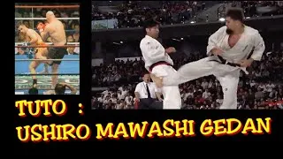 Miniature : TUTORIAL KYOKUSHIN , TOKUSENTAI DOJO REPRISE LE 7 SEPTEMBRE !