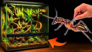 Miniature : J’ai Créé une Mini-Jungle pour mes Fourmis… et Tout a DÉRAPÉ