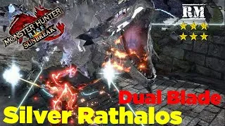Miniature : MONSTER HUNTER RISE SUNBREAK | DUAL BLADE | POLYGONE SILVER RATHALOS FIGHT | RM 6