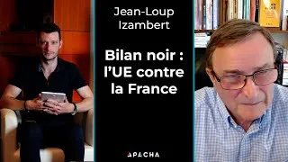 Miniature : Bilan de l'Union Européenne (corruption, agriculture, économie...) - Jean-Loup Izambert