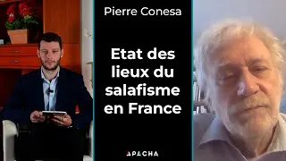 Miniature : Pierre Conesa : Etat des lieux du salafisme en France