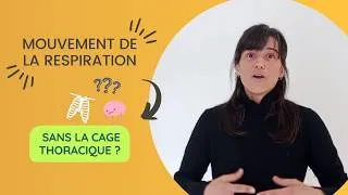 Miniature : Peut-on avoir une bonne respiration avec une cage thoracique peu mobile ?