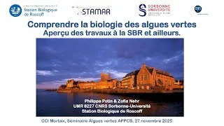 Miniature : Philippe Potin - Pourquoi les marées vertes persistent elles malgré 50 ans d’efforts ?
