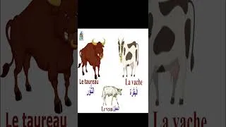 Miniature : اسماء الحيونات وصيغرها ويناثها Apprendre Le Français Avec Mirna - تعليم اللغة الفرنسية مع ميرنا