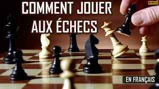 Miniature : comment jouer aux échecs  | comment jouer au echec pour débutant | Comment jouer aux échecs