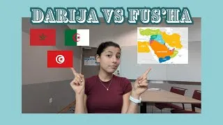 Miniature : Arabe dialectal ou classique?