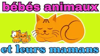 Miniature : Bébés Animaux et Leurs Mamans| Sons et bruits des animaux| les animaux et leurs petits en français