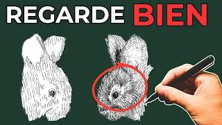 Miniature : Comment dessiner de la fourrure :  méthode facile