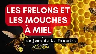 Miniature : LES FRELONS ET LES MOUCHES A MIEL