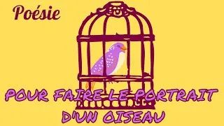 Miniature : Poésie🦜🐦Pour faire le portrait d'un oiseau de Jacques Prévert🦜🐦