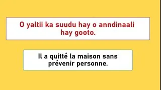 Miniature : Apprendre le Pular du Fuuta Jaloo Leçon 58 - Phrases Essentielles pour débuter