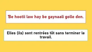 Miniature : Apprendre le Pular du Fuuta Jaloo Leçon 57 - Phrases Essentielles pour débuter