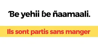 Miniature : Apprendre le Pular du Fuuta Jaloo Leçon 56 - Phrases Essentielles pour débuter
