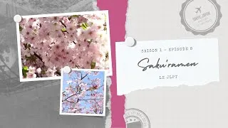 Miniature : 🌸SAKU'RAMEN : Le JLPT🍜〖S1 - Ep8〗