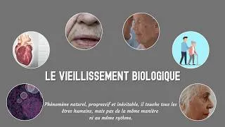 Miniature : Vieillissement biologique : quels effets sur l’organisme ?
