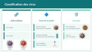 Miniature : Les virus
