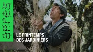 Miniature : Le printemps des jardiniers (teaser)