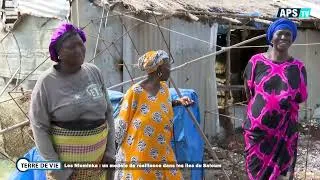 Miniature : Les Niominka : un modèle de résilience dans les îles du Saloum - TERRE DE VIE
