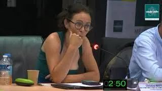Miniature : intervention indemnites elus Christine Bertin CM23juillet20 Vaulx-en-Velin