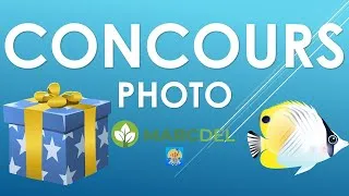 Miniature : CONCOURS PHOTO ! Avec MARCDEL