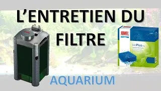 Miniature : L'ENTRETIEN DU FILTRE EN AQUARIUM