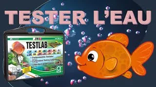 Miniature : TESTER L'EAU de l'aquarium