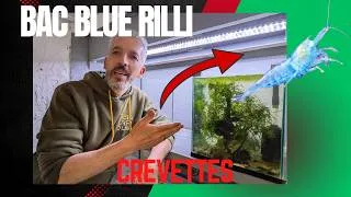Miniature : Bac blue rilli entretien
